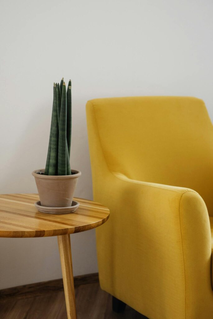 Creative composition of comfortable yellow armchair with soft cushion and round wooden table with green home plant in pot against white wall in light apartment or flat with wooden floor